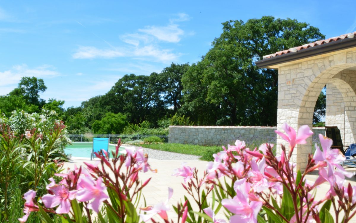 This vacation belongs to you