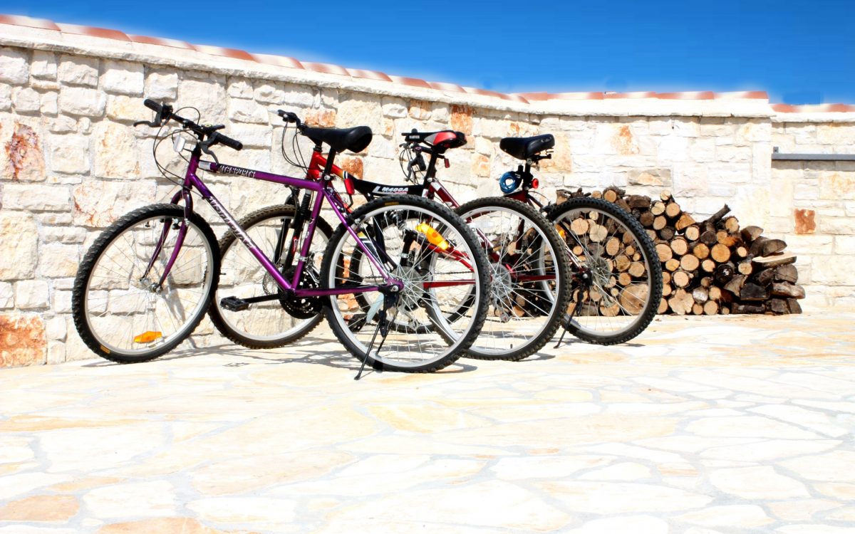 Enjoy Your Family Vacation