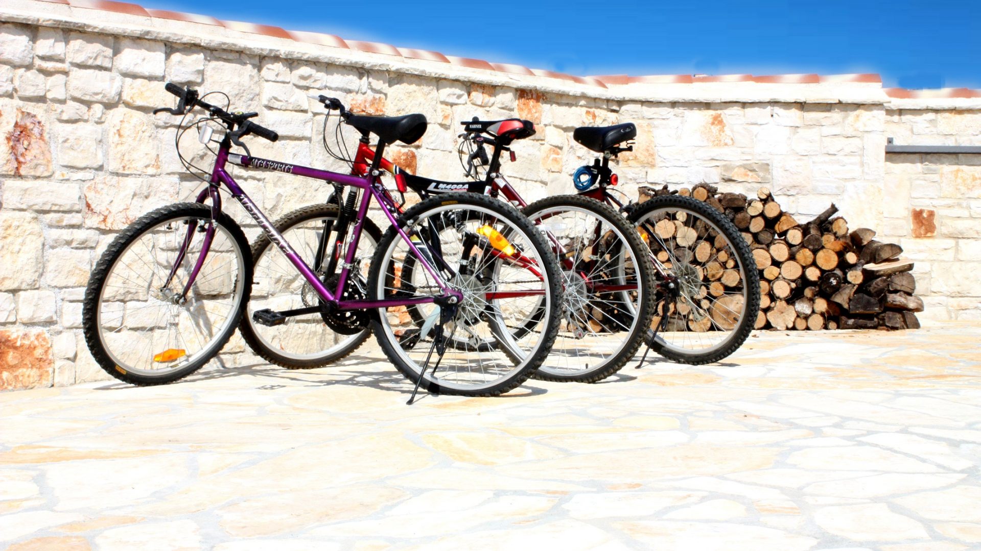 Enjoy Your Family Vacation